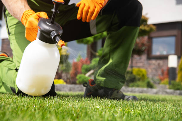 Insect Control in North Logan, UT