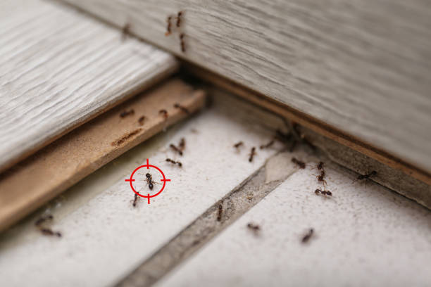  North Logan, UT Pest Control Pros