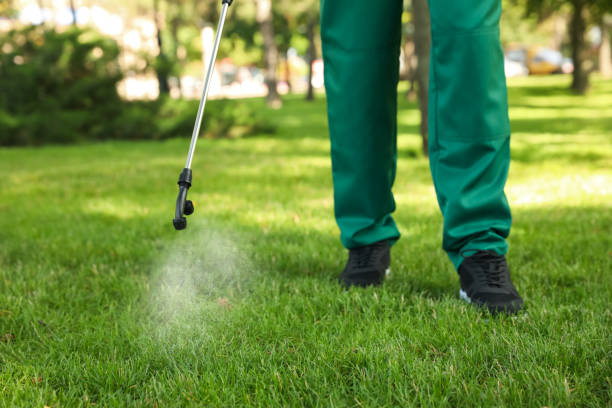 Best Insect Control  in North Logan, UT