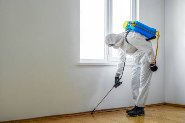 Best Pest Inspection Near Me  in North Logan, UT