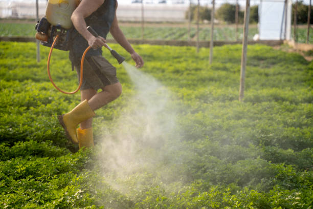 Best Local Pest Control Services  in North Logan, UT