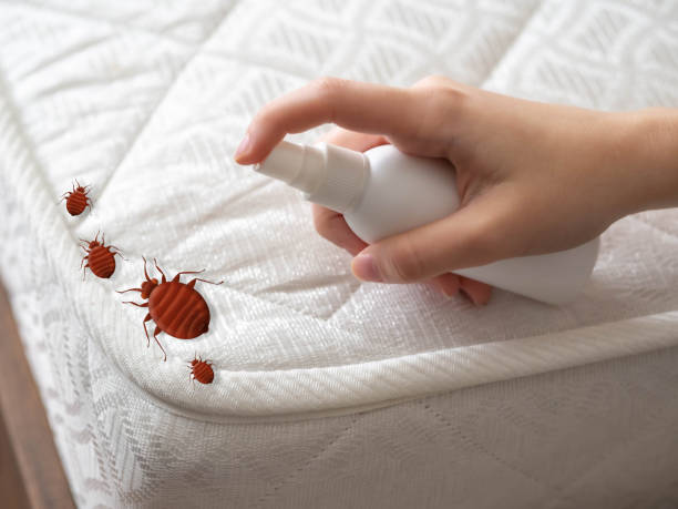 Best Affordable Pest Control Services  in North Logan, UT