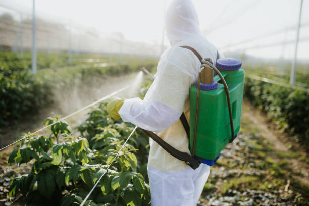 Best Commercial Pest Control Services  in North Logan, UT